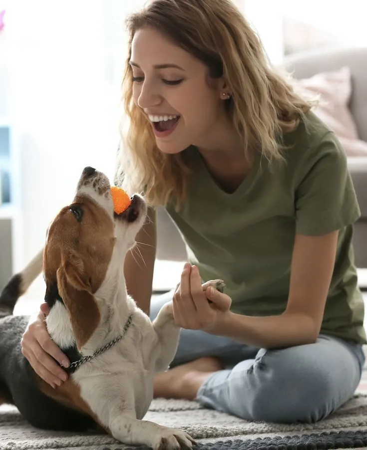 Profissional da Usted Pet cuidando de um pet na casa do tutor, serviço de babá de pets em preparação