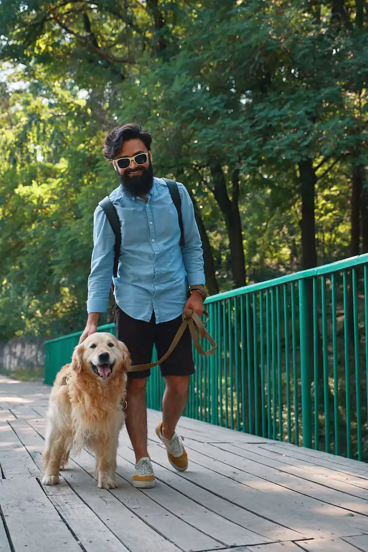 Cachorro passeando com um dog walker parceiro da Usted Pet em São Paulo